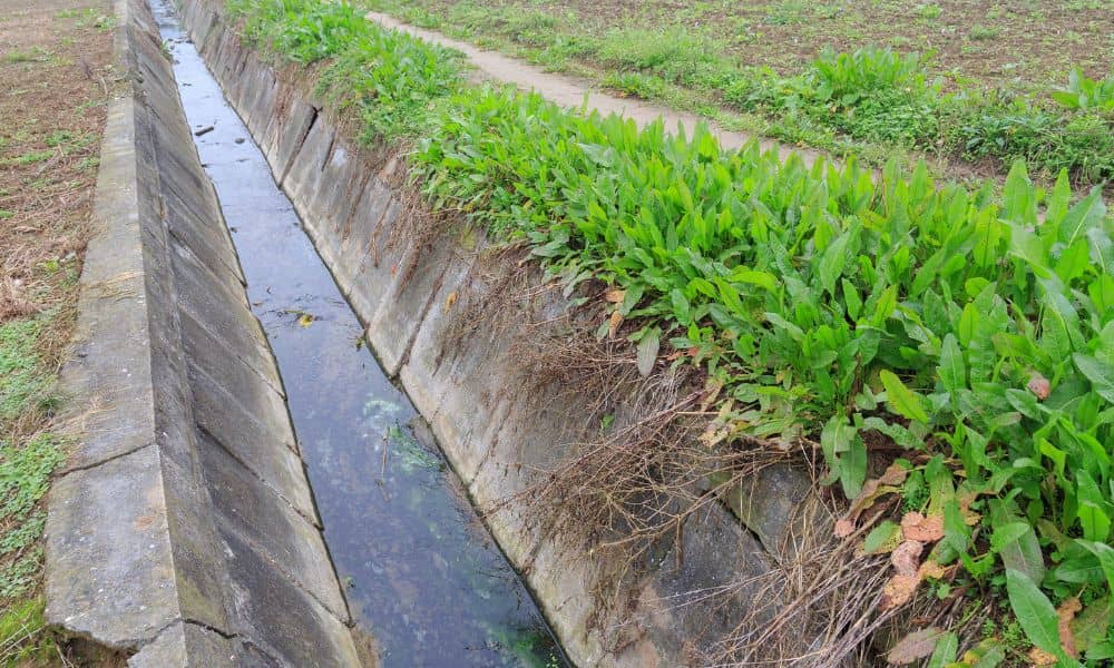 Concrete stormwater drainage channel in Denton showing proper minimum longitudinal slope for positive drainage
